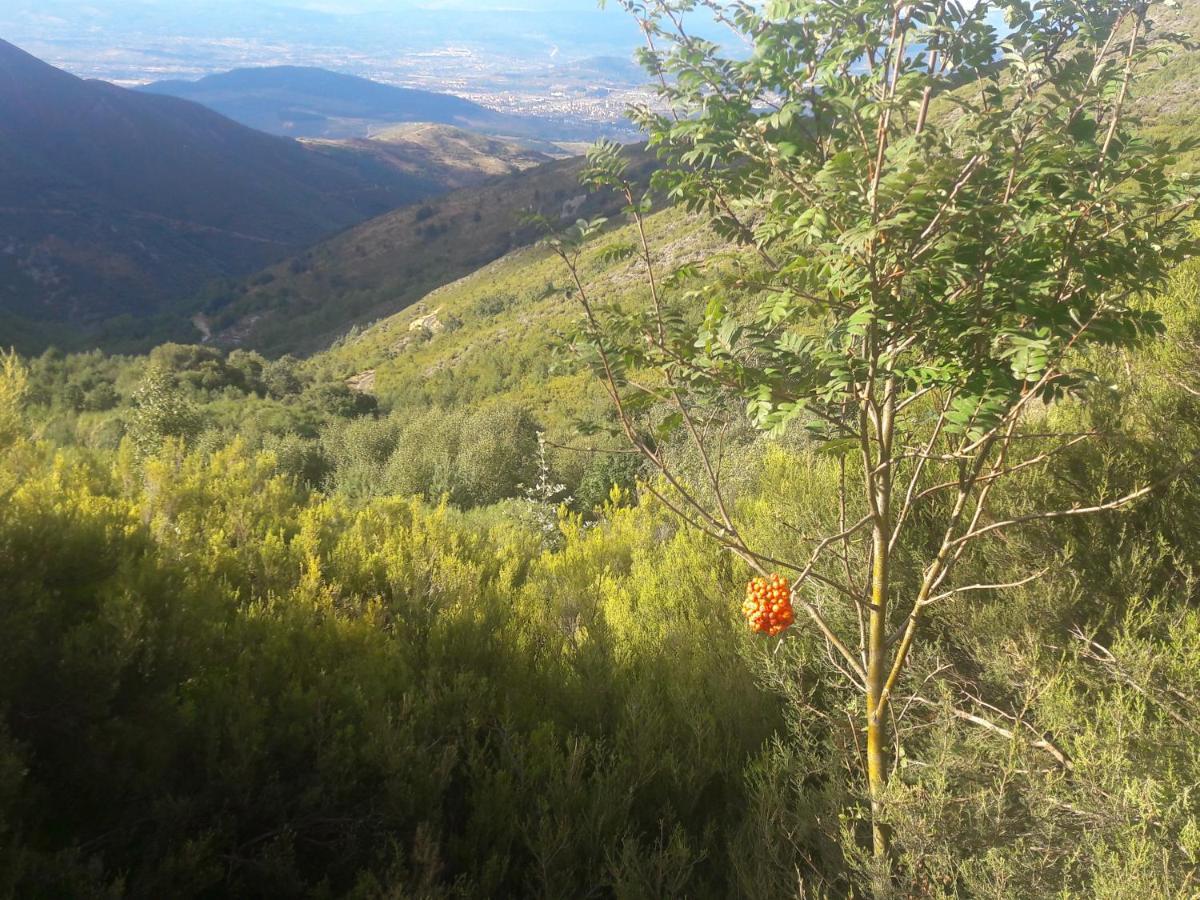 Hébergement de vacances La Casita De La Senora Maria